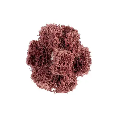 PFERD 44210 1-1/2" POLINOX Cross Buffs, 8-32 Thd. 3 Layers, Aluminum Oxide, Coarse Grade (20pk)