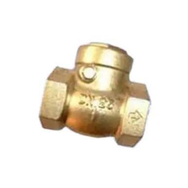 GRACO 111620 - Check Valve, 111620 (Required), 1/2" NPT(Fbe), 1500 PSI (10.4 MPa