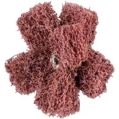 PFERD 44212 2" POLINOX Cross Buffs, 8-32 Thd. 2 Layers, Aluminum Oxide, Coarse Grade (20pk)