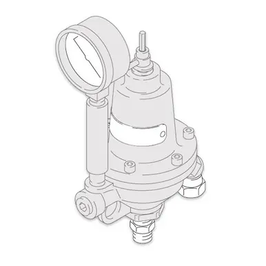 GRACO 204500 - Low Pressure Fluid Regulator, 250 PSI Max