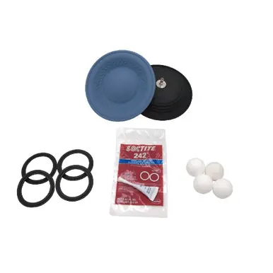 GRACO 25r741 - SaniForce 3250 HS-PH Complete Fluid Repair Kit with PT Ball, EO Diaphragm, EP Seal