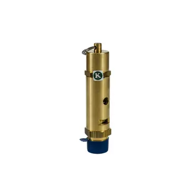 WALTER 53M025 - Safety Relief Valve for Air Force Machine