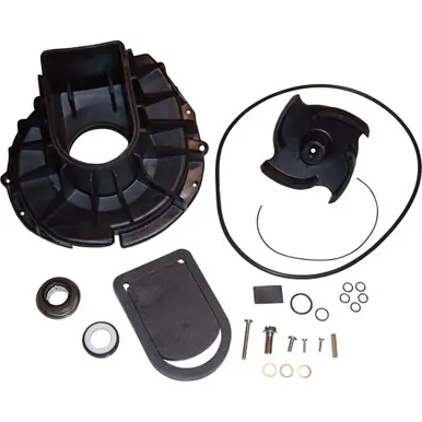 Pacer Pumps P-58-977EP-RS Rebuild Kit
