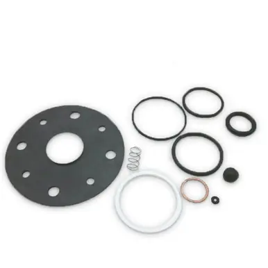 GRACO 224937 - Runaway Valve Repair Kit