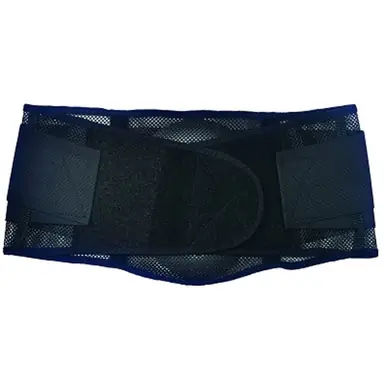 Ergodyne 20183 ProFlex 1051 Mesh Back Support, Small, Black