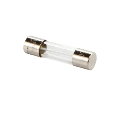 GRACO 119277 – Pro210ES Replacement Fuse