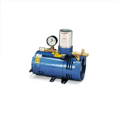 ALLEGRO 9806 - A-300 Breathing Air Pump (1/4 HP, 115/230V Ac)