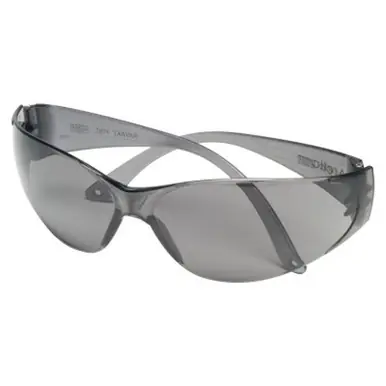 MSA 697515 Arctic Protective Eyewear, Gray Lens, Frame