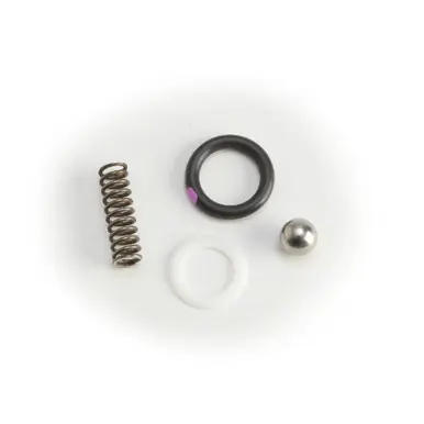 GRACO 24E447 - Kit, Repair, Frnt Hd, Ext, Check