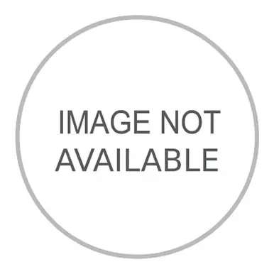 Western WD2121 Nut, 1/4" NPT Male, 3000 PSI