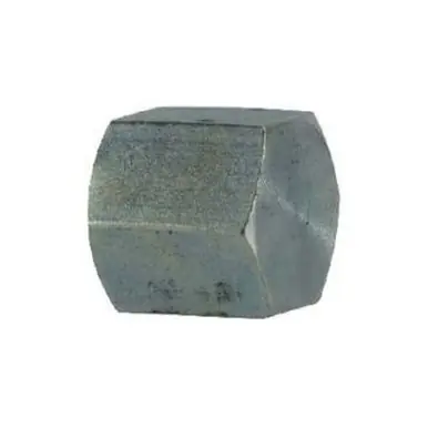Midland Industries SS5406-C-04 - Hex Pipe Cap, 1/4" NPT(F), Stainless