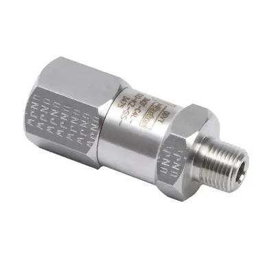 GRACO 124379 - Check Valve, Npte x Npti, 100 PSI