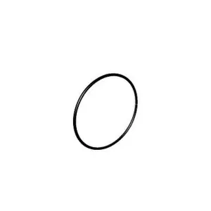 O-ring 28x1(2) SPM00229