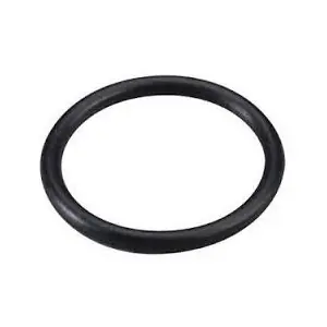 O-Ring 22615000