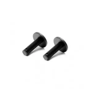 XRAY Vis support carrosserie(2) 341360