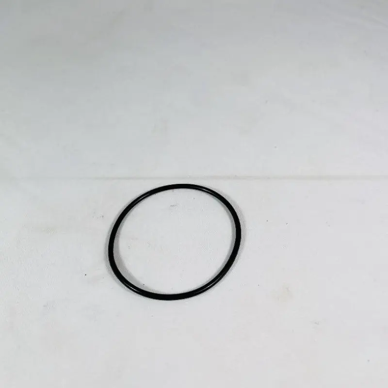 140-099 Foot Valve O-ring