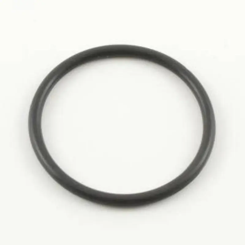 106556 Teflon O-Ring, at top of cylinder