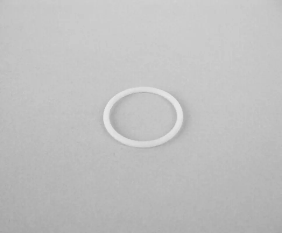 107079 Teflon O-Ring Intake Seat