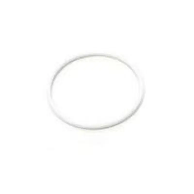 108526 O-Ring PTFE