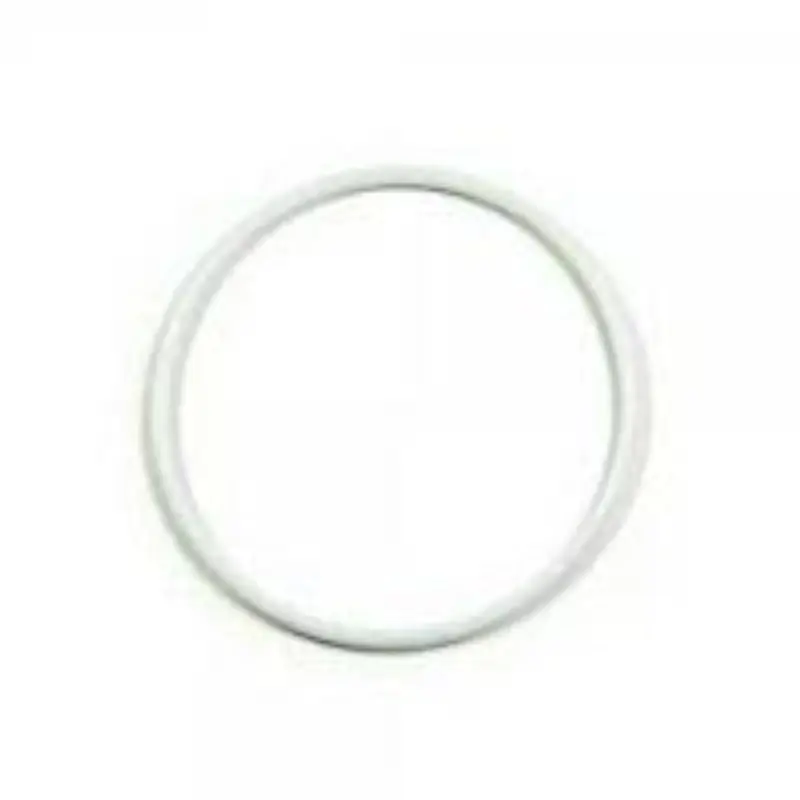 108822 Teflon O-Ring