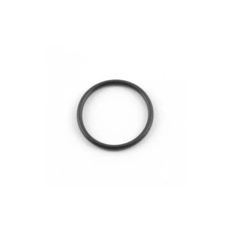 117559 O-Ring