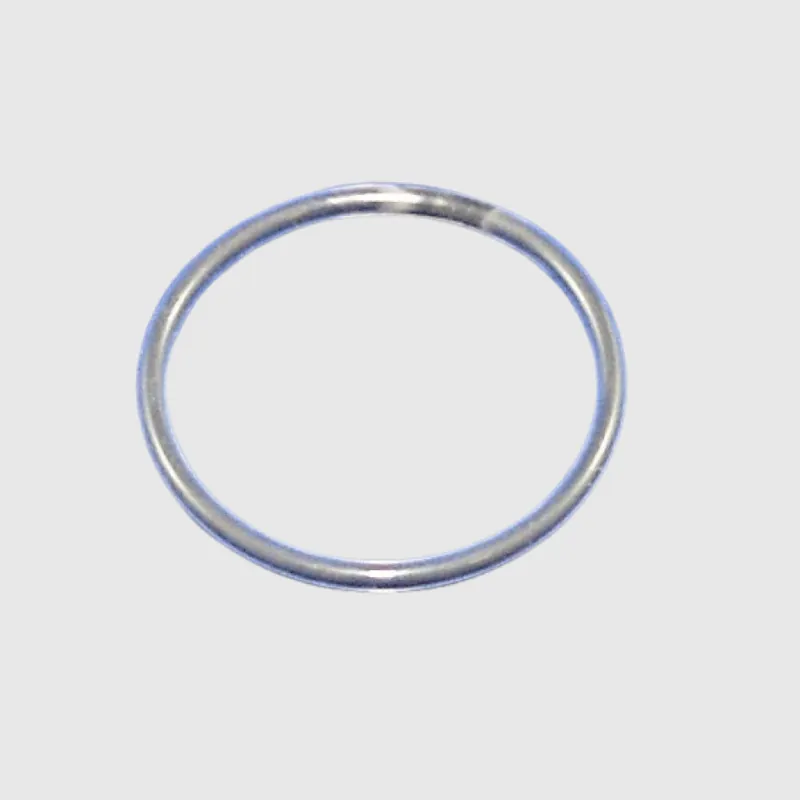 117828 O-Ring