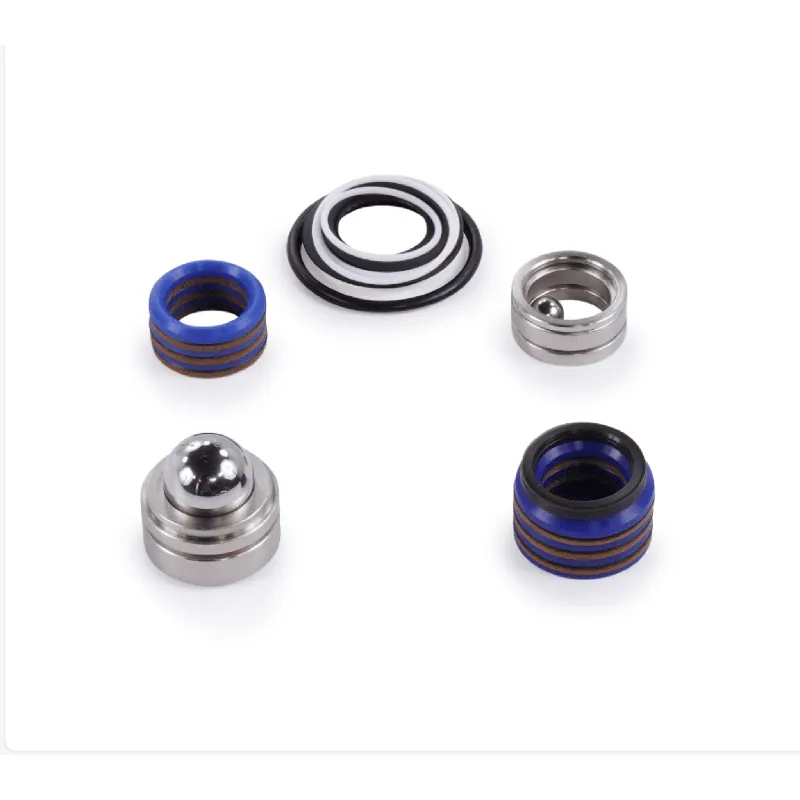 Graco 248213 Pump Repair Kit