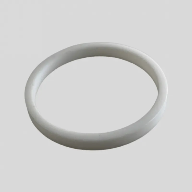 920-006 Thick Filter Housing Seal