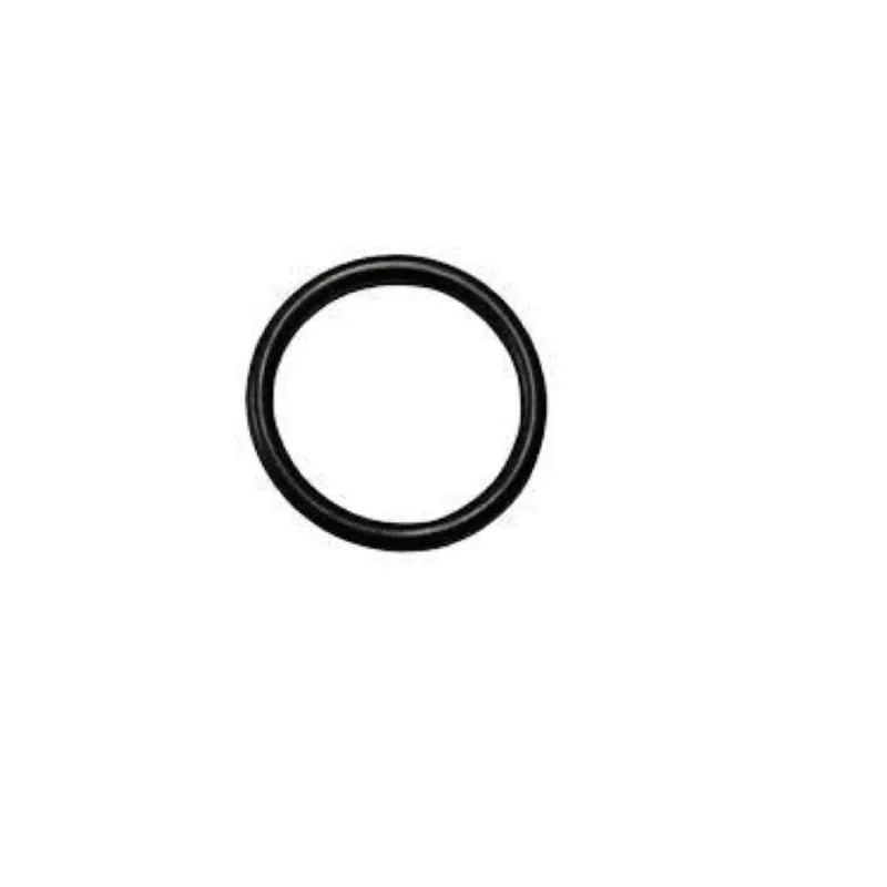 17V093 Packing O-Ring