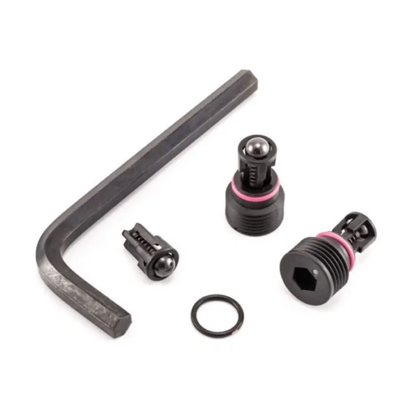 17P183 Outlet Valve Kit