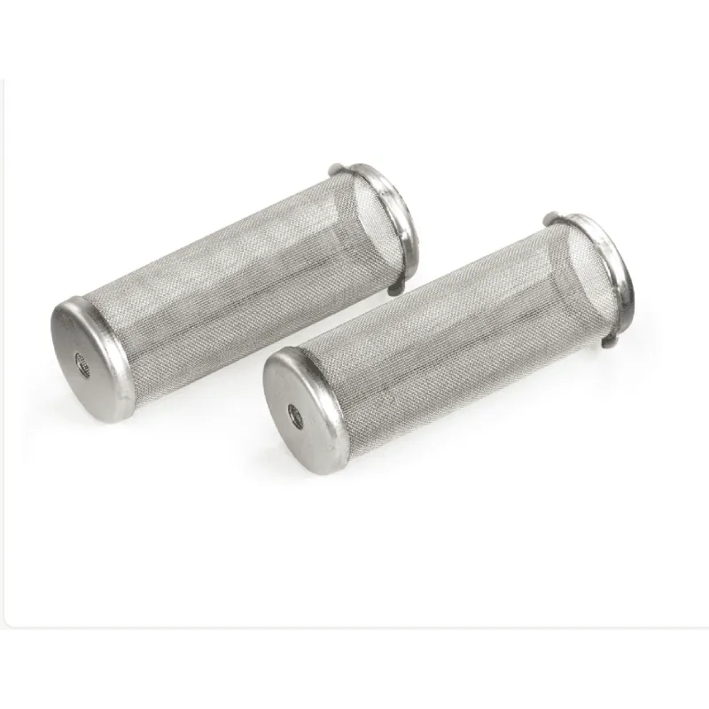 236496 Outlet Filter 60-Mesh Short 2-Pack