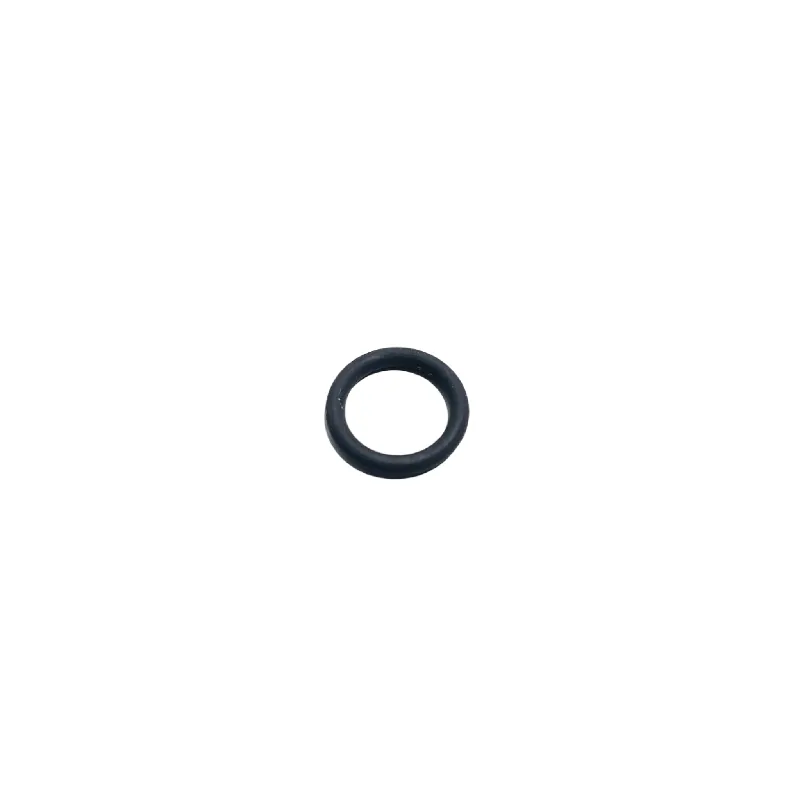106555 O-Ring