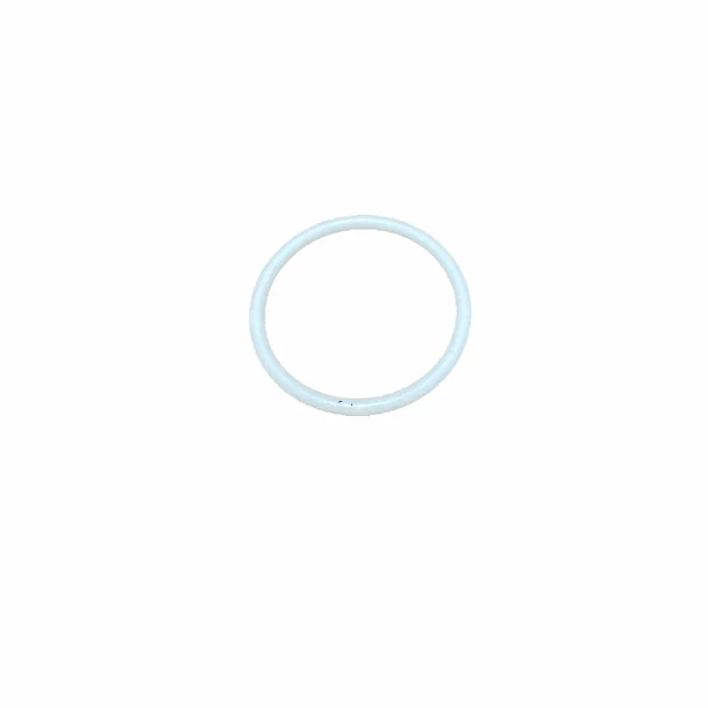 104804 Teflon O-Ring