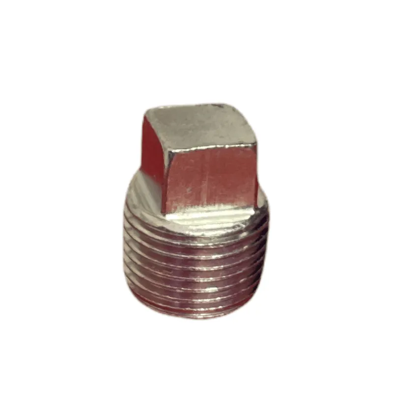 100040 Plug