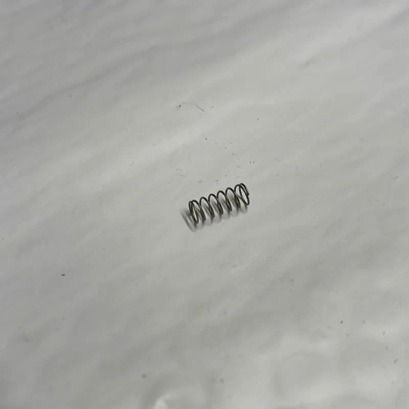 47485 Outlet Spring